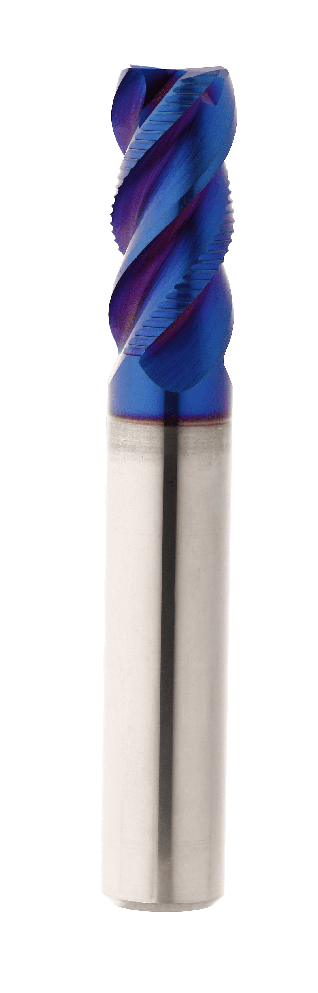 Aufrecht stehender Schruppfräser auf weißem Hintergrund. Die Spitze ist blau und flach abgeschnitten.